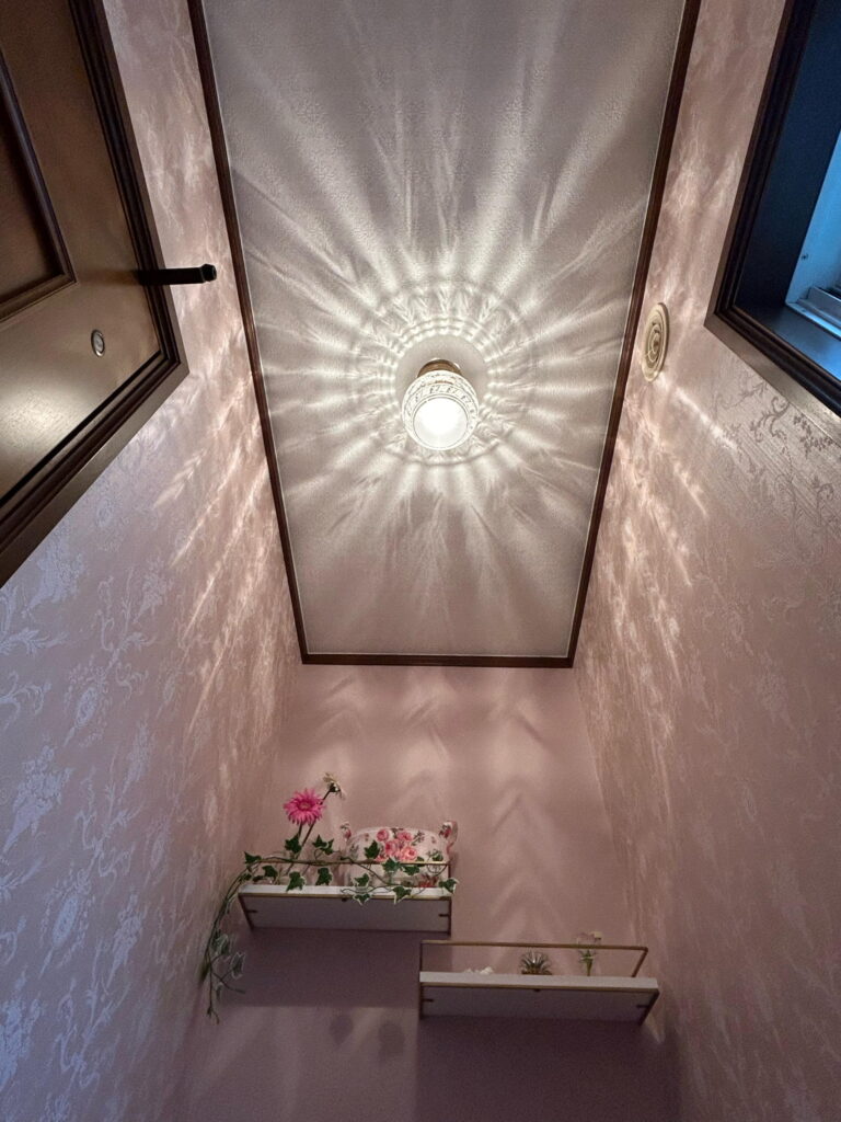 トイレの空間いっぱいに広がる光の屈折模様が楽しい、おしゃれな天井照明　N39邸